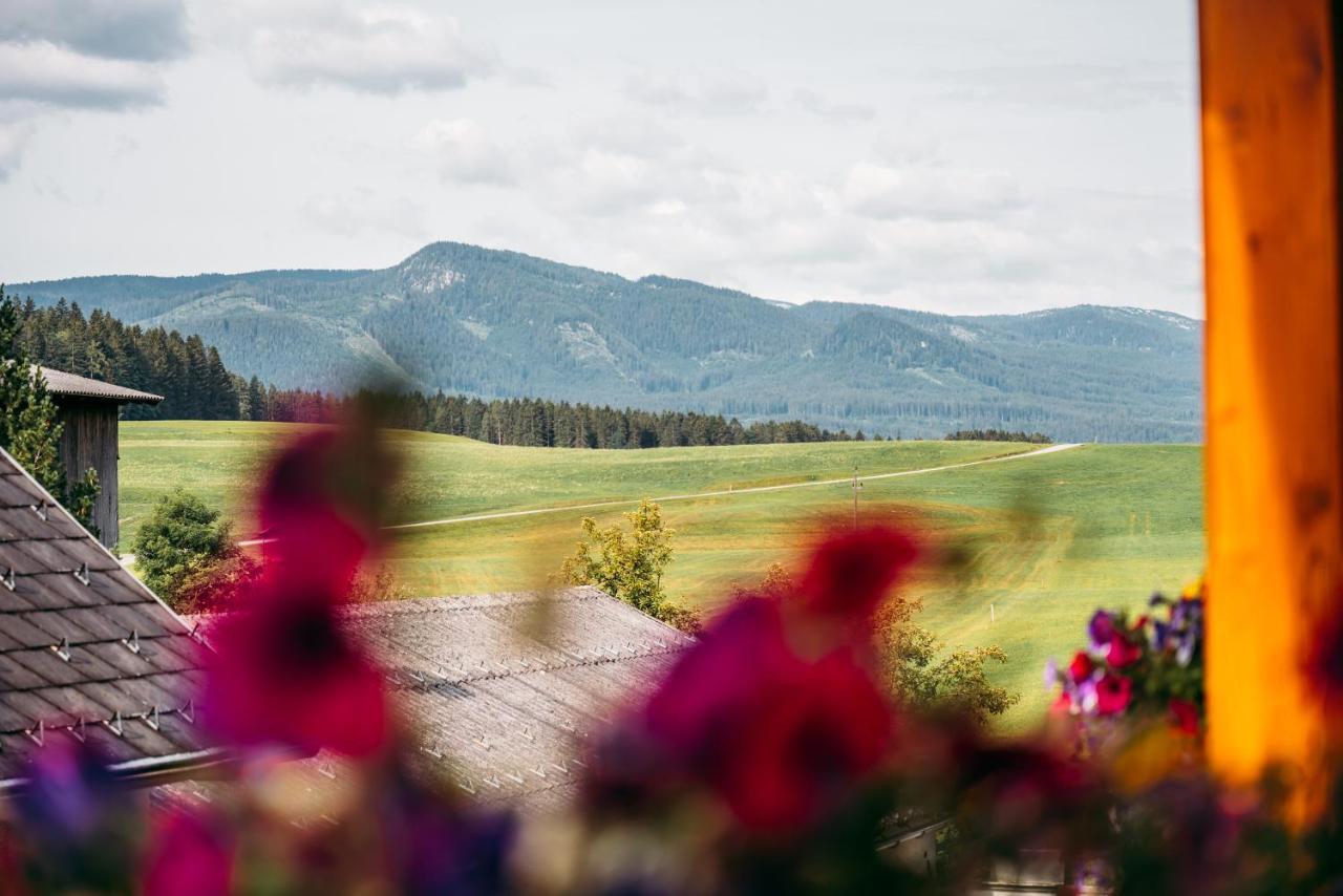 Wander- Und Wellnesshotel Kanzler バート・ミッテルンドルフ エクステリア 写真